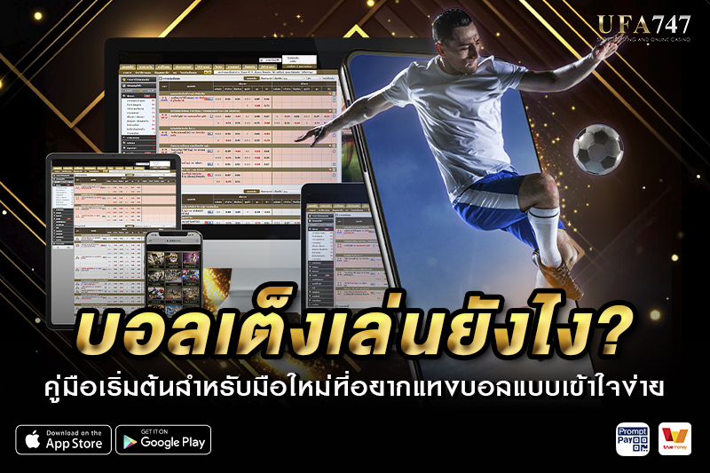 บอลเต็ง เล่นยังไง?